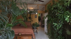 500plants in a house